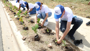 JAC participa junto a otras instituciones en iniciativa “SIEMBRA POR LA INTEGRIDAD”